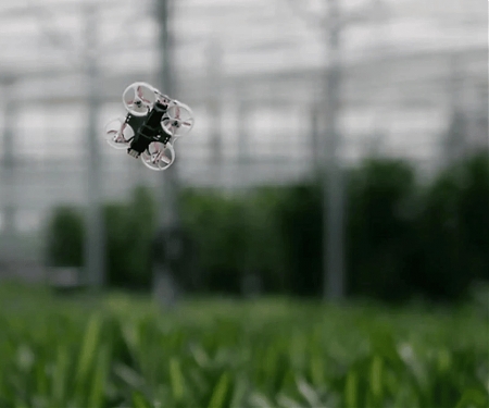 Combating Greenhouse Pests with Drones - PATS-C