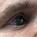 CEO Test-Drives Mojo Vision's Smart Augmented Reality Contact Lens