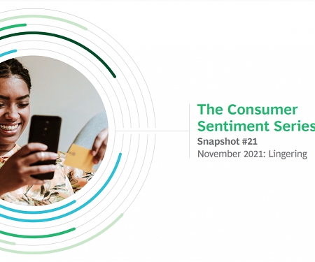 (PDF) BCG - The Consumer Sentiment : November 2021