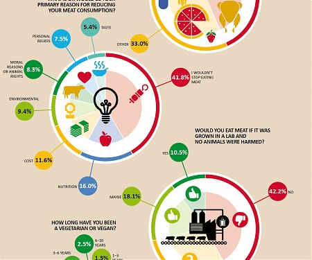 (Infographic) How Do Americans Feel About Meat Consumption ?