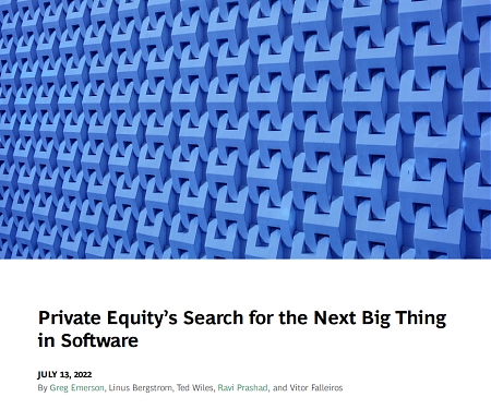 (PDF) BCG - Private Equity’s Search for the Next Big Thing in Software