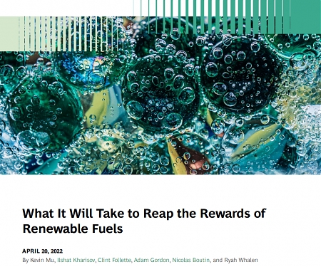 (PDF) BCG - What It Will Take to Reap the Rewards of Renewable Fuels