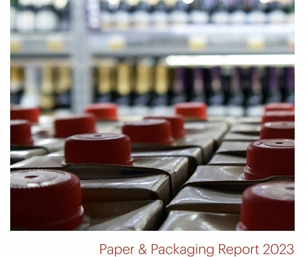 (PDF) Bain- Paper & Packaging  Report 2023 : Unpack The Power of Sustainable Packaging