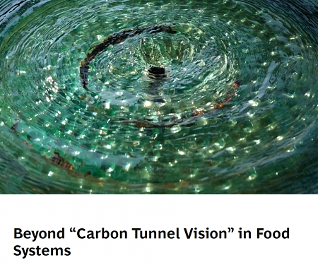 (PDF) BCG - Beyond “Carbon Tunnel Vision” in Food Systems