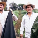 Cactus Leather Is the Newest Eco-Friendly Fabric - Desserto