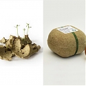 'Biopack' is Packaging Made from Seeds That Grow When Planted