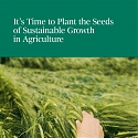 (PDF) BCG - It’s Time to Plant the Seeds of Sustainable Growth in Agriculture