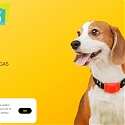 4G LTE Smart Pet Collar - RAWR