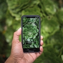 (Video) Seek App Lets Users Identify Plant and Animal Species in Real Time