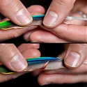 (PDF) Feather-Inspired Tech May Give Velcro a Run for Its Money