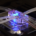 Human Organs-on-Chips wins Design of the Year 2015