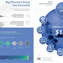(Infographic) The Big Pharma Takeover of Medical Cannabis