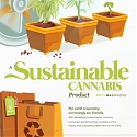 (Infograhic) Balancing the Environmental Costs of Cannabis
