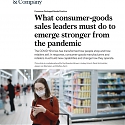 (PDF) Mckinsey - What Consumer-Goods Sales Leaders Must Do to Emerge Stronger from The Pandemic