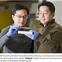 A New Material Called “Superwood” Is Just As Strong As Steel