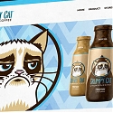 How Grumpy Cat Makes Her Millions