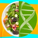 The First Crispr-Edited Salad Is Here - Pairwise