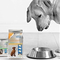 An Uptick in Clicks and Bricks for Pet Food : An Omnichannel Perspective