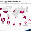 The World's Biggest Wine Producers
