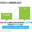 Nielsen Predicts Legal Cannabis Sales In The U.S. To Reach $41 Billion By 2025