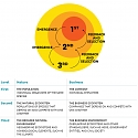 HBR - The Biology of Corporate Survival
