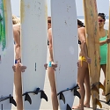 Surfing Trendsetters Can Make an Economic Splash