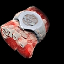 First 3D Colour X-Ray of a Human Using CERN Technology - Pixabay