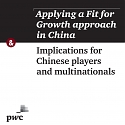 (PDF) PwC - Applying a Fit for Growth Approach in China