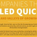 (Infographic) Companies That Scaled Quickly