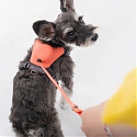 BKID Develops Hybrid Dog Harness with a Lightweight, Retractable Leash Module for 'Tailhigh'