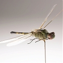 (Video) Meet the CIA’s Insectothopter