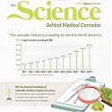 (Infographic) The Science Behind the $13 Billion Medical Cannabis Industry