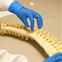 (Video) Spongy Polymer Grows to Fill Gaps in The Spine After Surgery