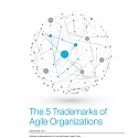 (PDF) Mckinsey - The 5 Trademarks of Agile Organizations