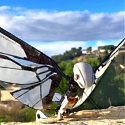 MetaFly RC Unique Flying Biomimetic Creature