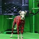 (Paper) Motion Capture Tech Digitizes Dogs, with No Suit and a Single Camera