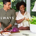 This Tiny Device Can Grow Your Salad Ingredients in 20 Days - SproutsIO