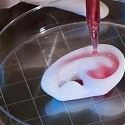 Understanding the Fundamentals of the 3D Bioprinting Space