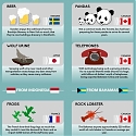 (Infographic) The Most Bizarre Exports From Around The World