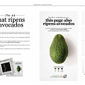 Avoca-Don’t Dispose This Brilliant Print Ad That Ripens The Fruit For You
