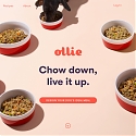 Ollie Raises $4.4M to Become The Sprig of Dog Food