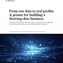 (PDF) Mckinsey - From Raw Data to Real Profits