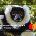 MasterCard : The Wildlife Impact Card Program by McCann