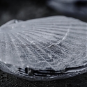 (Video) Clam-shaped Kinetic Sound Sculptures Sing of The Quality of Water