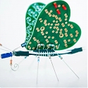 (Paper) Butterfly-Inspired Robotic Wings Fly with No Batteries, Just Magnetic Fields