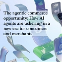 (PDF) Mckinsey - The Agentic Commerce Opportunity