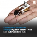 (Paper) Cockroaches Turned Into Cyborgs in Just 68 Seconds with New Automated Machine