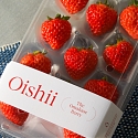 Perfecting The Indoor Strawberry: Vertical Farmer Oishii Lands $50M Series A