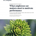 (PDF) Mckinsey - What Employees Say Matters Most to Motivate Performance