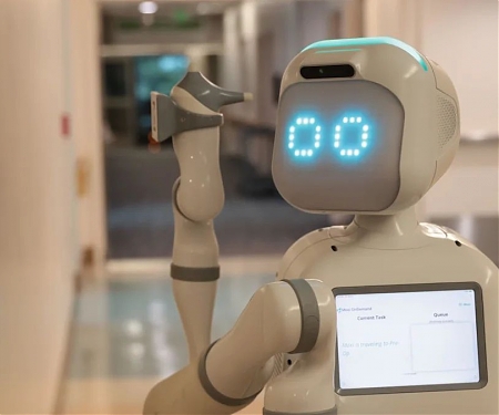 Robots Available for Rent : But What Can They Do ?